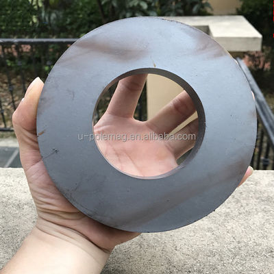 Professionele ferriet van permanente Y35 Y40 Ring Ferrietmagneet voor luidsprekers Geen coating