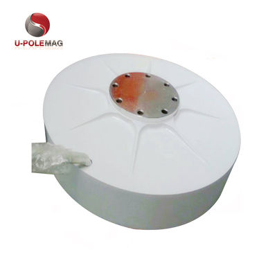 Zeldzame aardmagneet voor aangepaste AFPMG520-1.0KW/90RPM Inner Rotor Windgenerator
