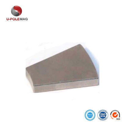 Ni-Cu-Ni-gecoate N42-sectorale neodymimmagneet voor professionele permanente magneetmotoren