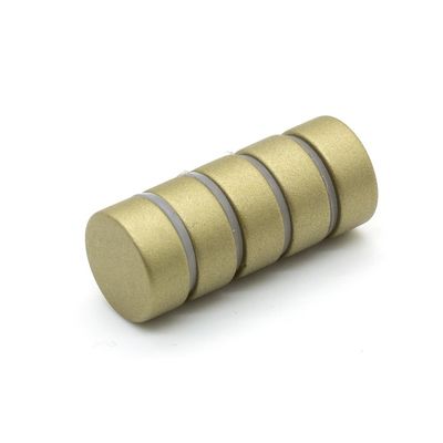 15 dagen Proeftijd D12x5 mm Everlube gecoate neodymimagneten voor anti-corrosie
