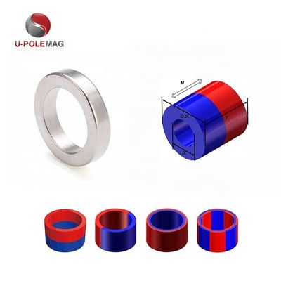 Langdurige coating High Grade Custom Neodymium Ring Magnet voor Wheel Hub Motor