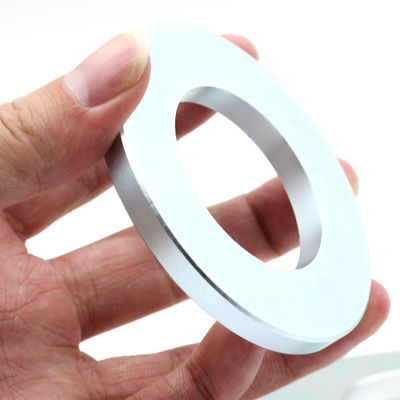 ISO9001 2000 Gecertificeerde diametraal gemagnetiseerde neodymiummagneetring voor audiospreker