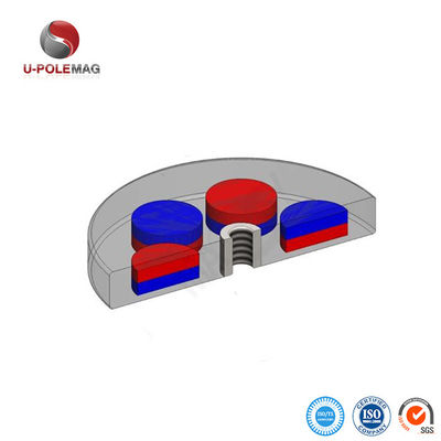 Rubbercoated N42 Neodymium Disc Magnet voor onderdelen en onderdelen van industriële machines